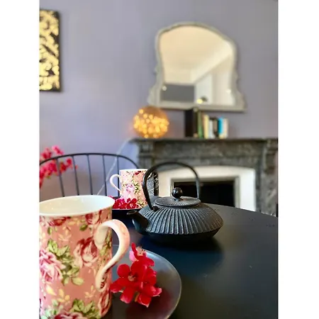 O'de- Centre - Proche Cite Medievale -canal Du Midi - Wifi - Ideal Couple Et Professionnel アパート カルカソンヌ