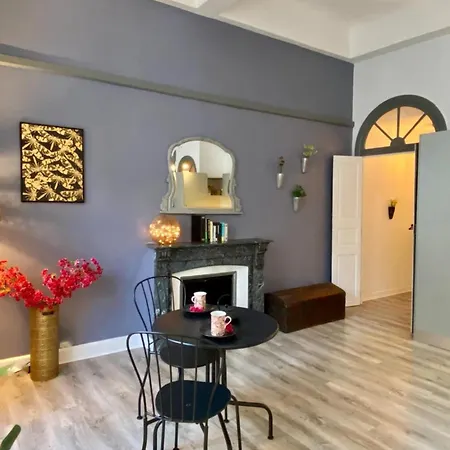 O'de- Centre - Proche Cite Medievale -canal Du Midi - Wifi - Ideal Couple Et Professionnel アパート カルカソンヌ