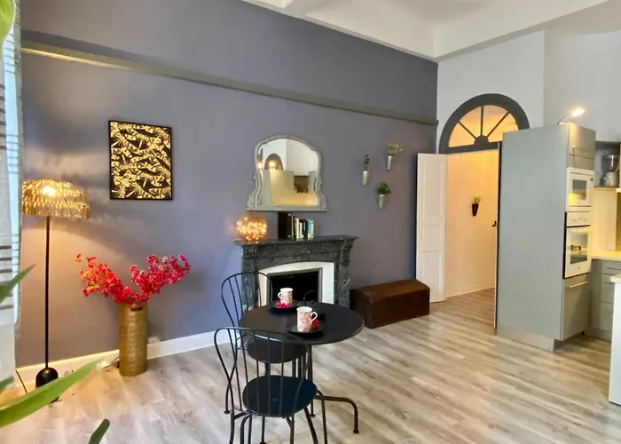 O'de- Centre - Proche Cite Medievale -canal Du Midi - Wifi - Ideal Couple Et Professionnel Apartamento Carcassonne